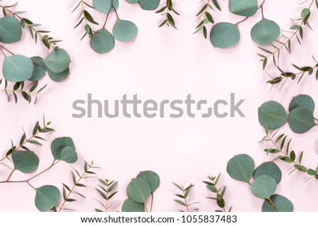 FLower frame with fresh branches of pion-shaped roses and eucalyptus leaves isolated on white background, flat lay and top view