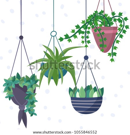 Hanging house plants and flowers in pots. Flat cartoon style vector illustration.