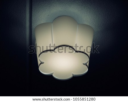 Flower shape ceiling light