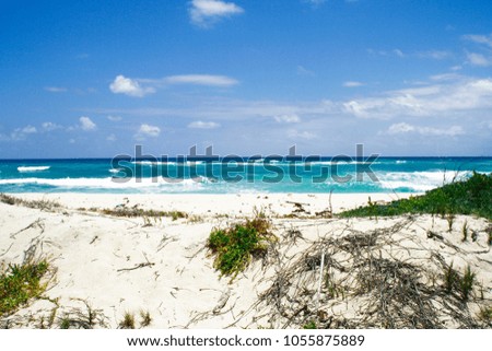 Caribbean beach ruins