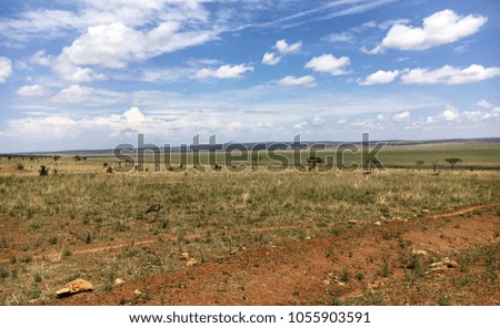 Landscape of Tarangire National Park in Tanzania
