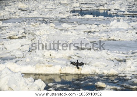 frozen river, a natural phenomenon that affects the lives of people and animals