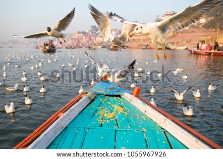 Breakfast on the Ganges River. Varanasi, India. The flight of seagulls over the nose of the boat.