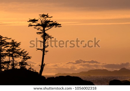 Sunset in Ucluelet, British Columbia