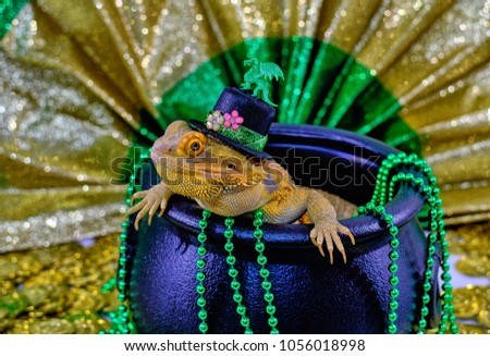 Bearded Dragon in a hat celebrating Celebrating St. Patrick's day in a pot of beads and gold coins
