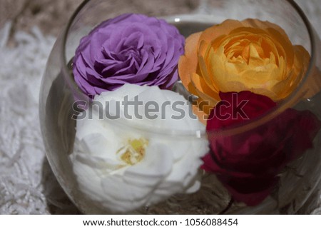Tereza Rose - Full Color