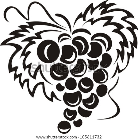 Vector illustration of grape