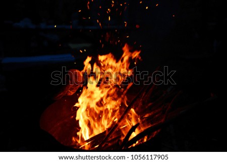 Bonfire at the night