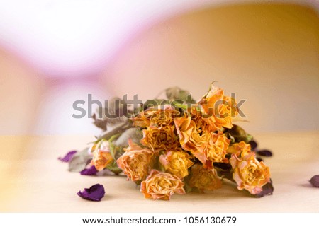 Dried orange roses on wooden table with sunglasses shadow, Selective focus Old English roses with blurry background of glasses, 