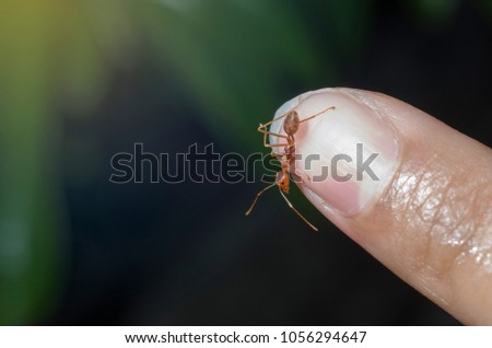 Ants on the fingertips.