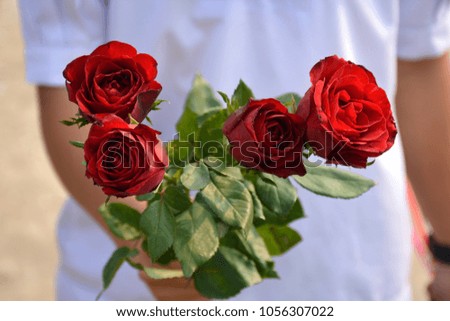 Red roses in the hand  women.