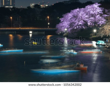Cherry blossoms in full bloom were lighted up at Chidorigafuchi near the Imperial Palace in Tokyo. People  enjoy viewing cherry blossoms at night from the boat.