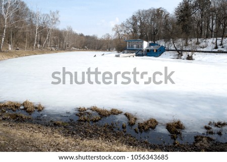 Forest landscape. Lake covered by ice.