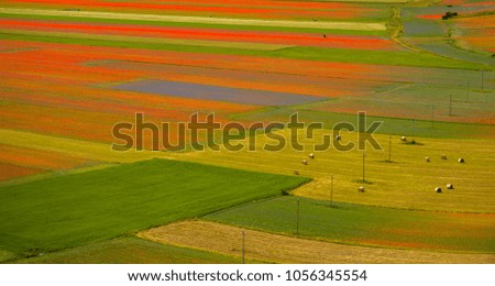 Multicolored fields in Italian countryside spring