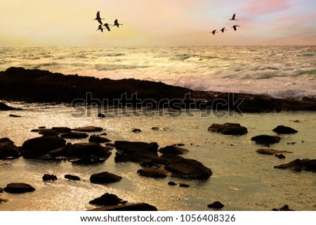 Beautiful coastal seascape at sunset. Migrating birds. Flock of cranes fly in evening sky. Golden sunlight reflects on the water. Sea surf breaks down on coastal stones. Calm inspiration. Dreams 