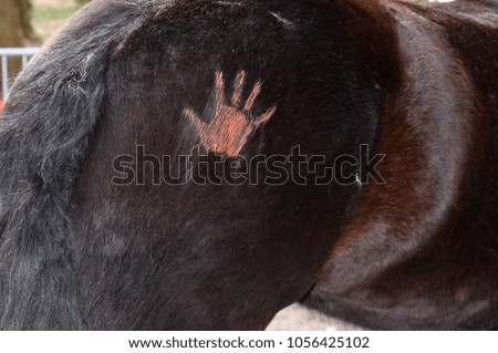 rump of a horse with marking