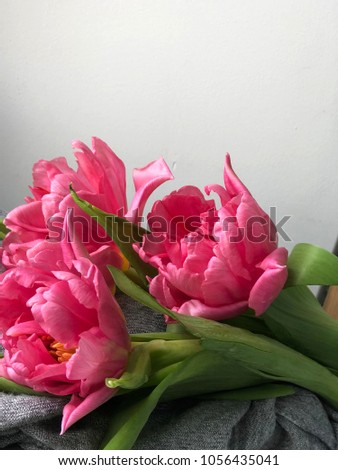 pink tulips. rustic pink tulip flatlay. 