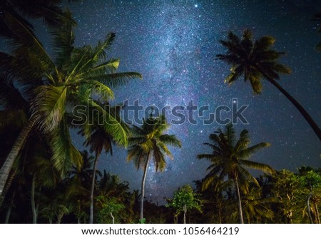 Night shot with palm trees and milky way in background, tropical warm night