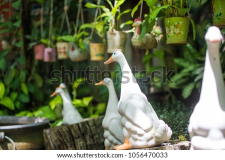 Duck in Garden