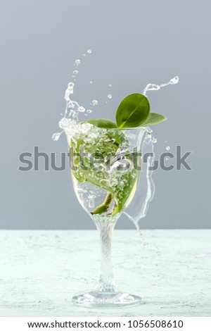 Green leaves in a glass with a splash of water on a light gray background.
