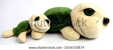 Little turtle doll with white backdrop.