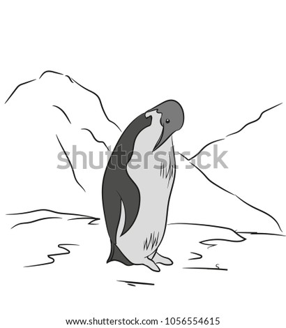 penguin sketch color, vector, white background
