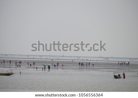 Fishing boats of the villagers in Don Hoi Lom, Samut Songkhram Province in Thailand.