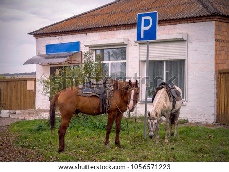 two horses with saddles tied to a pole with a sign Parking near the house