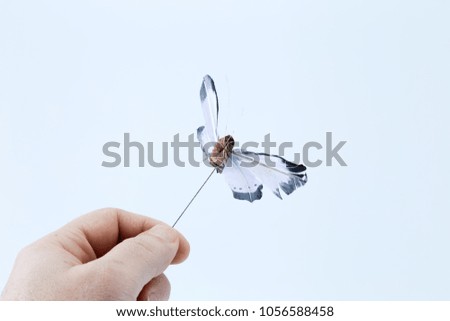 Hand holding a Black and white fake artificial wired flying butterfly isolated in white background