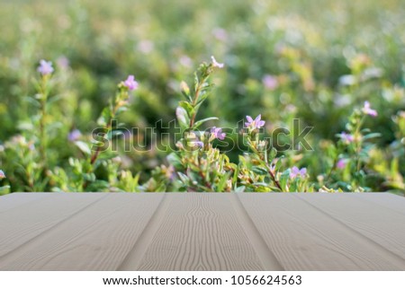 Wooden floor white wrong to nature and background flower naturally.