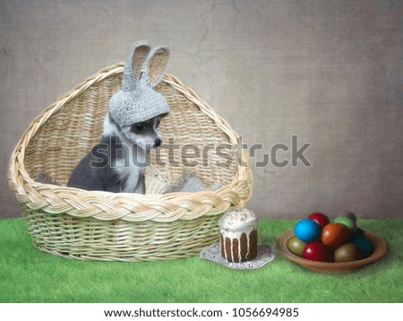 Easter picture with traditional treats and a small puppy in rabbit ears