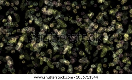 bacteria seen through a microscope