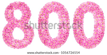 Arabic numeral 800, eight hundred, from pink forget-me-not flowers, isolated on white background
