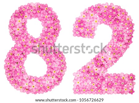 Arabic numeral 82, eighty two, from pink forget-me-not flowers, isolated on white background