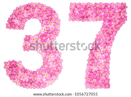 Arabic numeral 37, thirty seven, from pink forget-me-not flowers, isolated on white background