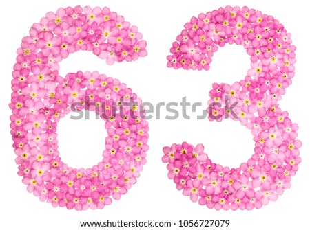 Arabic numeral 63, sixty three, from pink forget-me-not flowers, isolated on white background