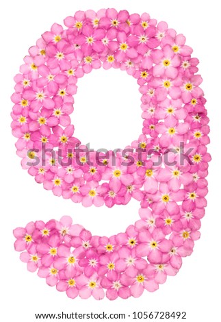 Arabic numeral 9, nine, from pink forget-me-not flowers, isolated on white background