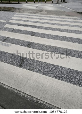 zebra crossing in city