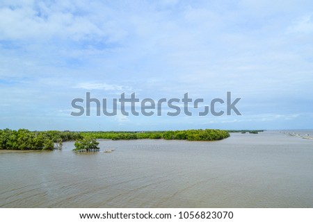 beautiful landscape view of coastal forest conservation site in Samutprakan at Thailand