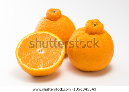 Japanese citrus Dekopon of Siranui, another name is sumo mandarin or sumo citrus. Royalty-Free Stock Photo #1056845543