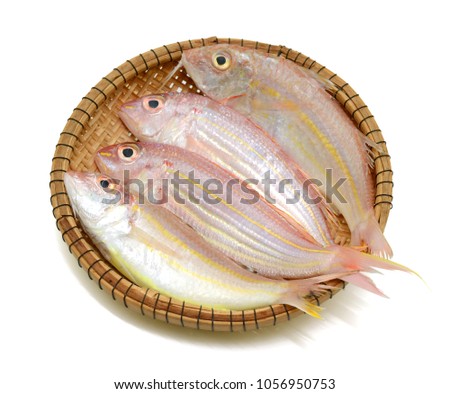 red snapper fish basket isolated on white background
