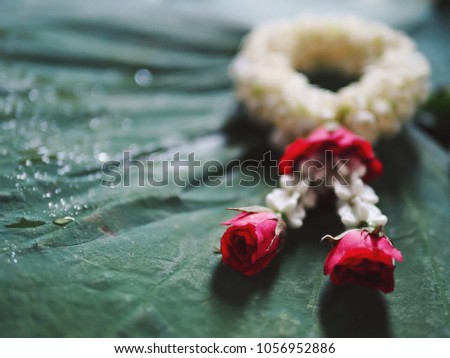 Blurred background of Thai traditional handmade jasmine garland on lotus pad (leaf) with bokeh defocused lights of water drops for Songkran festival, Thai new year, mother's day, merit making rituals.