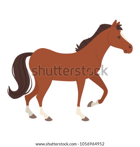 Vector cartoon style illustration of farm animal - horse. Isolated on white background.