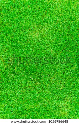 Green grass spring natural background real texture decoration object