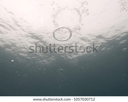 Ocean Water ring diving