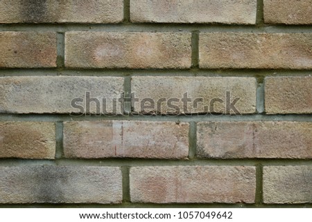 Pale Rough Brickwork Background - Image