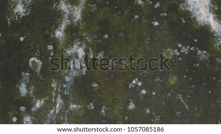 concrete wall in water stains and moss close-up
