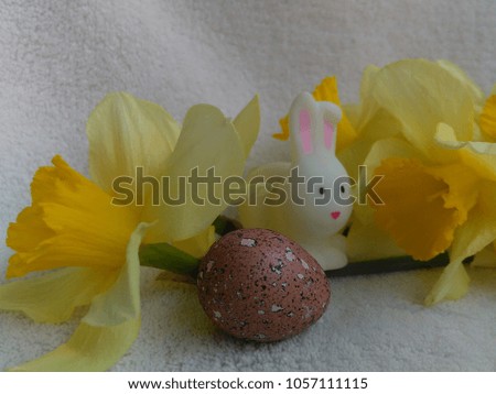 happy Easter Bunny egg daffodils