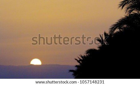 Sunset between palms, sunset over clouds, sun goes down orange sky