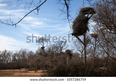 Nest of Storks